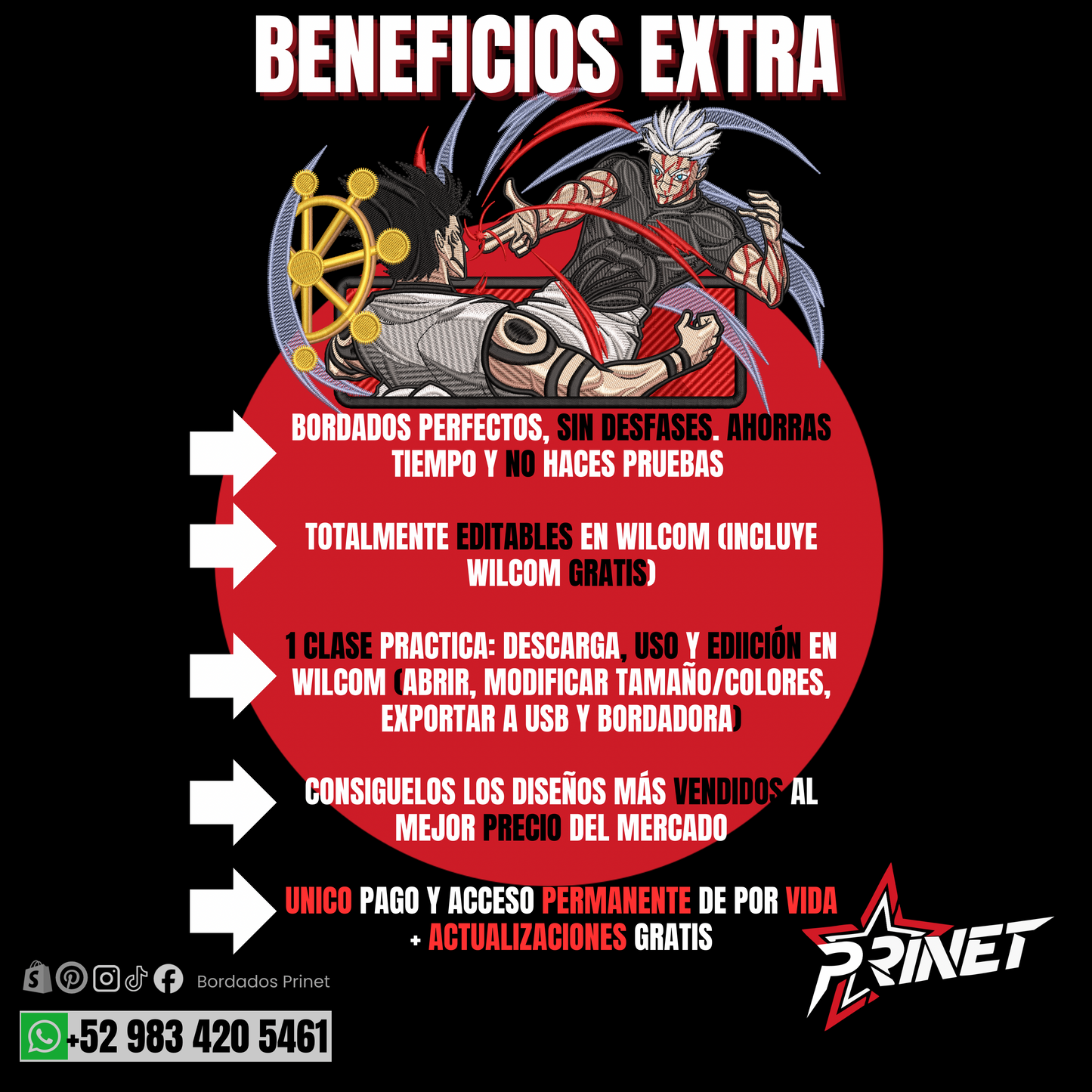 PAQUETE PREMIUM DE BORDADOS