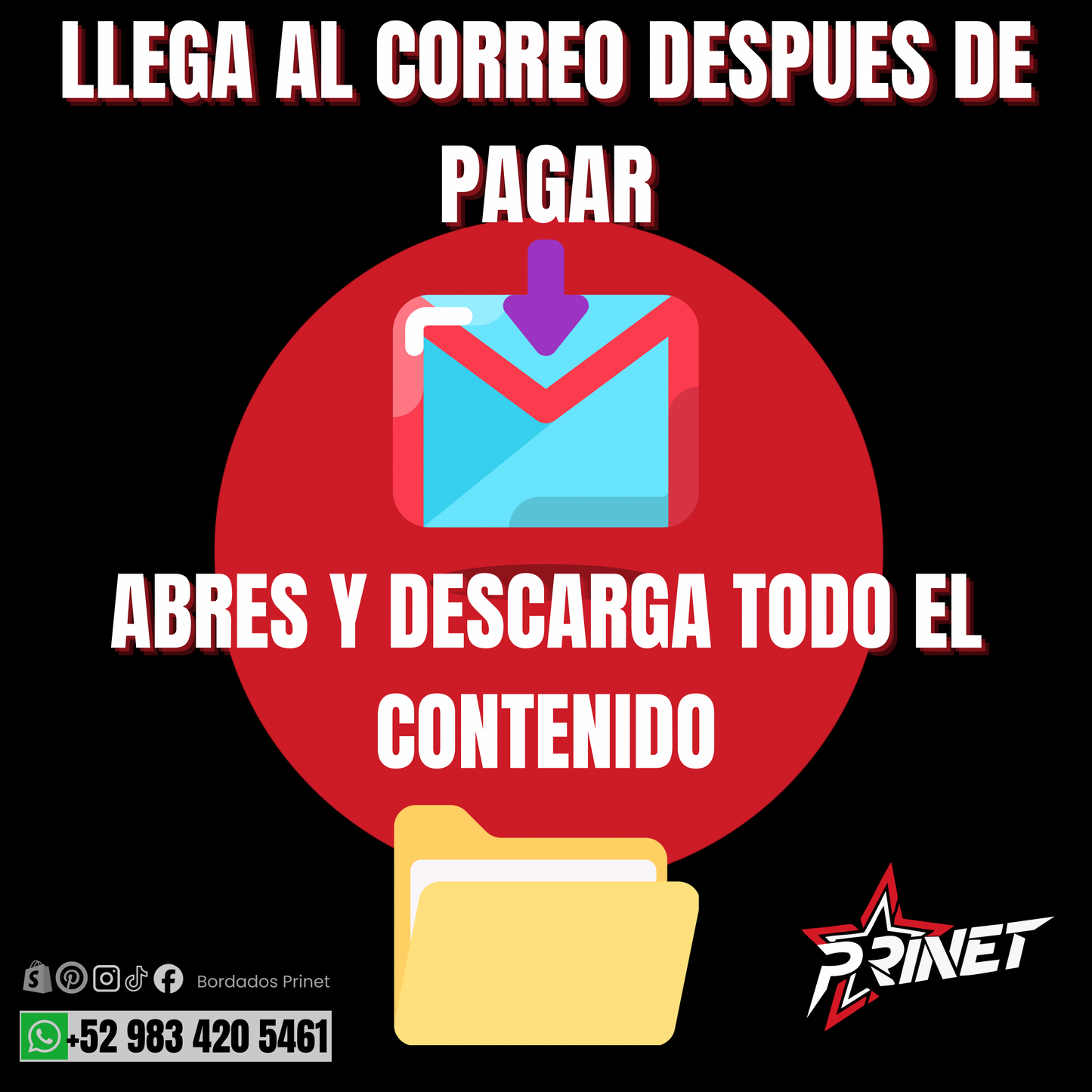 PAQUETE PREMIUM DE BORDADOS